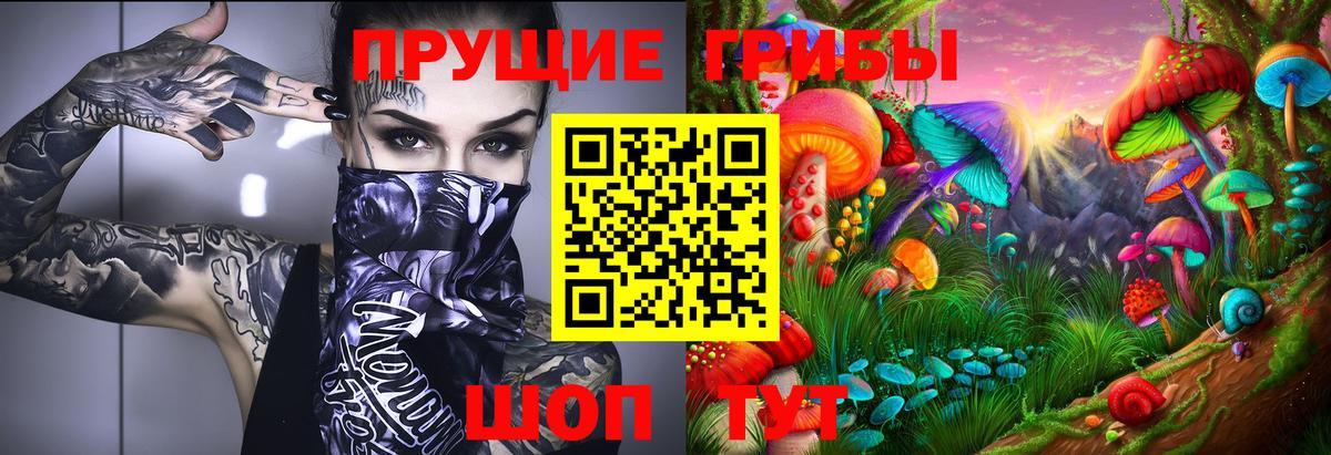 Галлюциногенные грибы Psilocybe Искитим